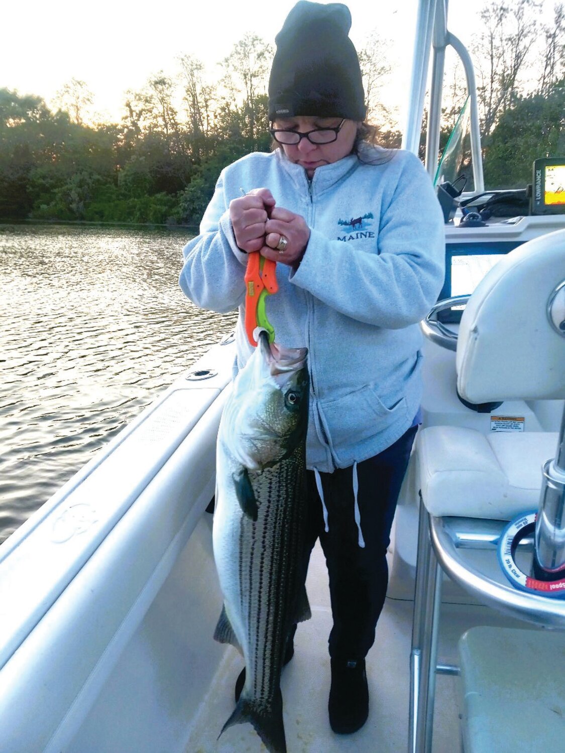 STRIPED BASS: Rhonda Swain with striped bass she caught when fishing with her husband Mike live lining Atlantic menhaden at night in Bristol Harbor.